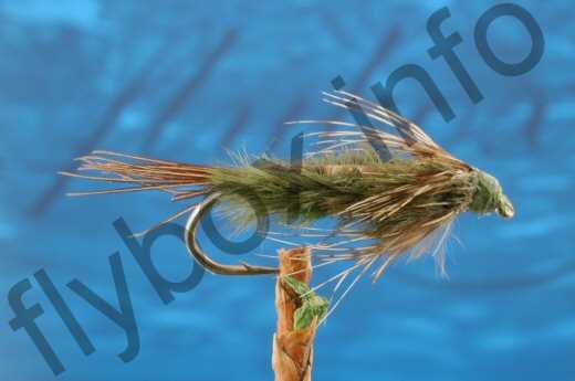 Fish4Flies A R Mayfly Nymph Olive